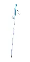 Phoenix Smartcane