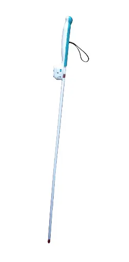 Phoenix Smartcane